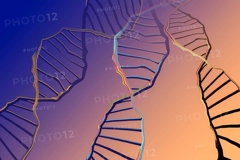 Genome sequencing concept of genome editing. Biotechnology of molecule