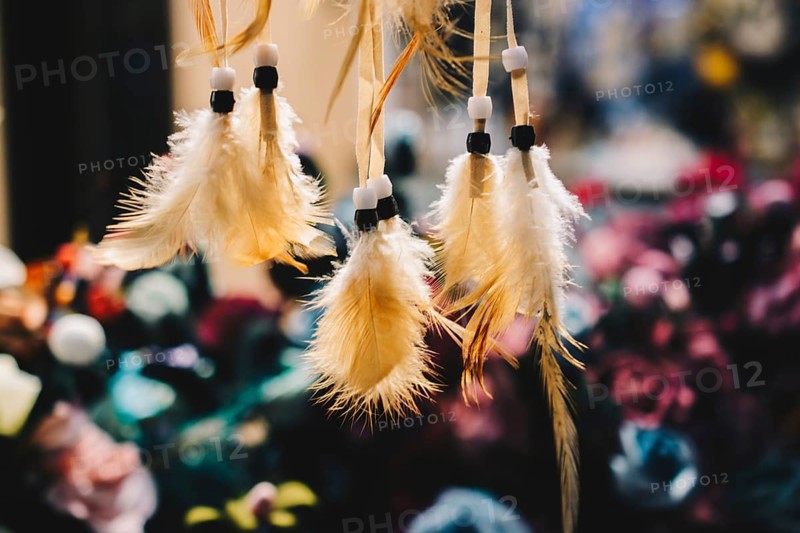 Beautiful colorful bird feathers for decorative purposes