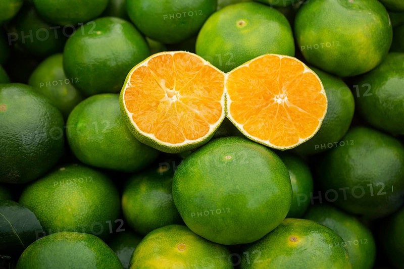 Freshly picked green tangerines mandarines