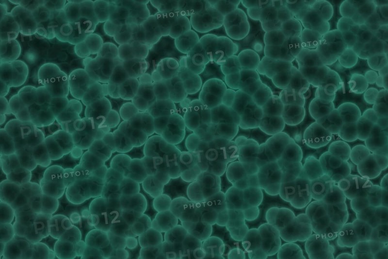 Fake microorganisms. microbiology. Bacteria