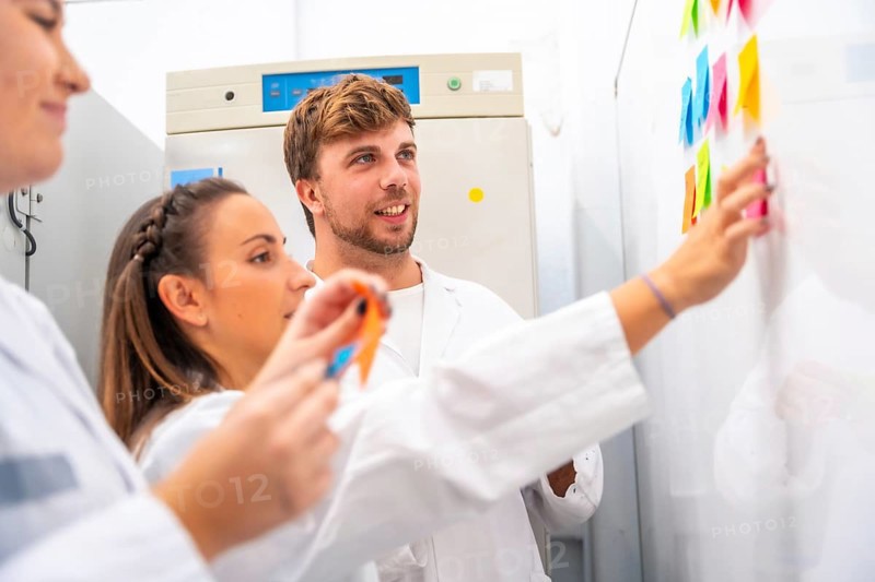 Side view of a group of creative process using adhesives notes in a cancer research laboratory