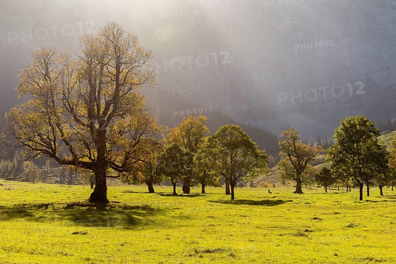 Autumn atmosphere in the Engtal