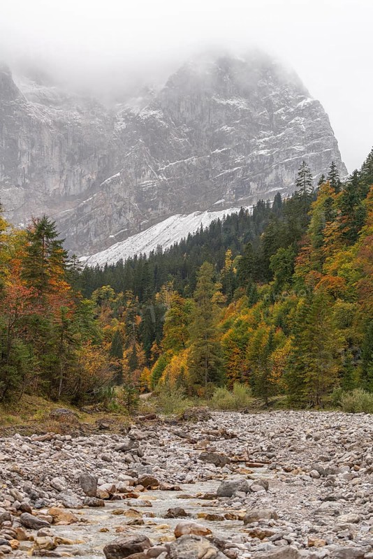 Fog in the Karwendel nature park Park