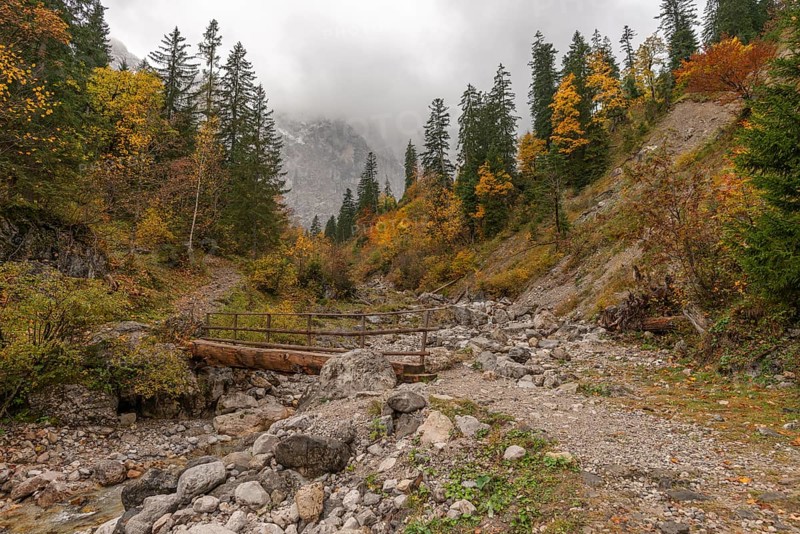 Fog in the Karwendel nature park Park