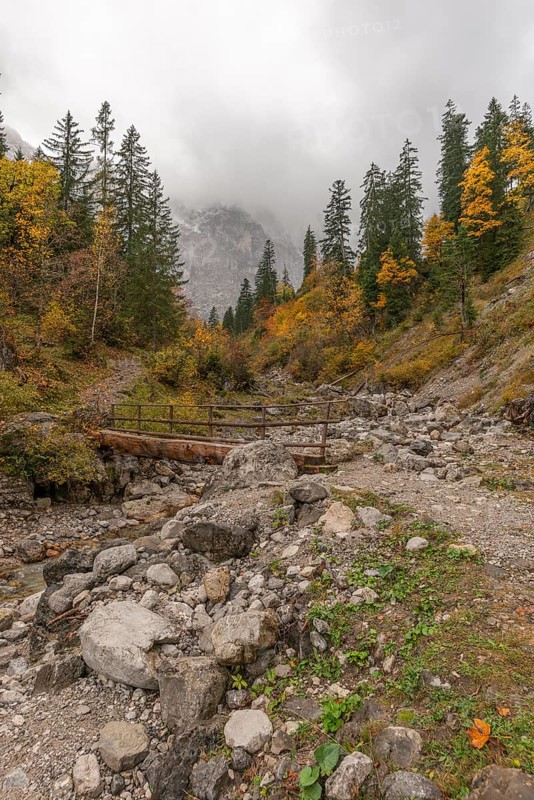 Fog in the Karwendel nature park Park