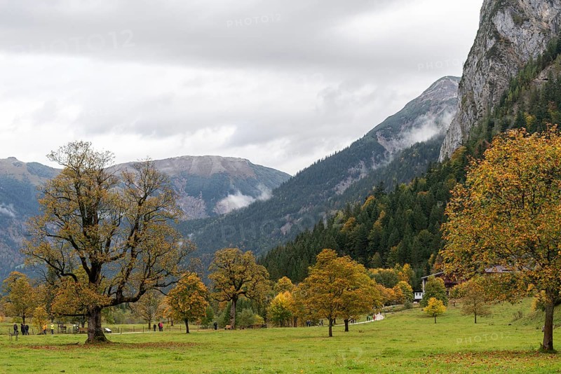 Early morning fog in the Karwendel nature park Park
