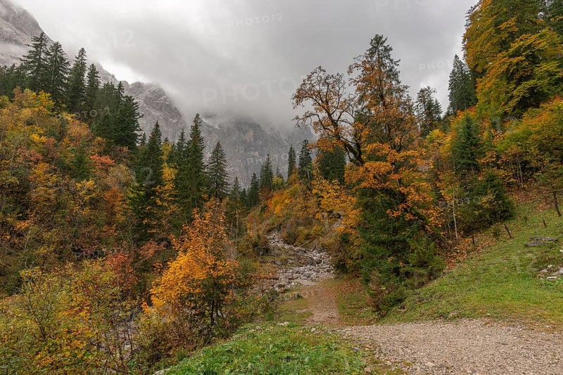 Early morning fog in the Karwendel nature park Park in Engtal