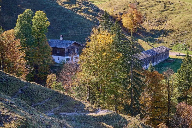 Koenigsalm