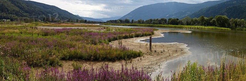 Bleistaetter Moor European nature reserve
