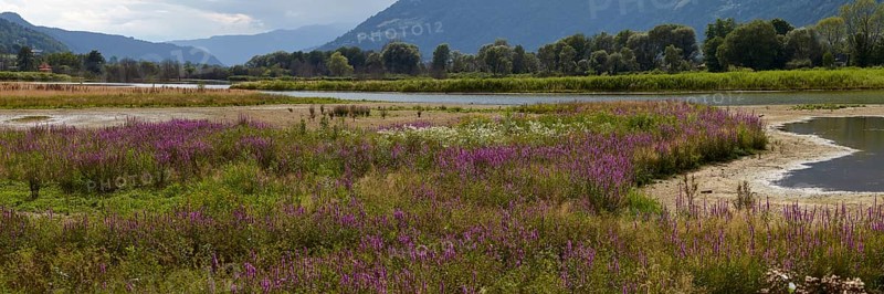 Bleistaetter Moor European nature reserve