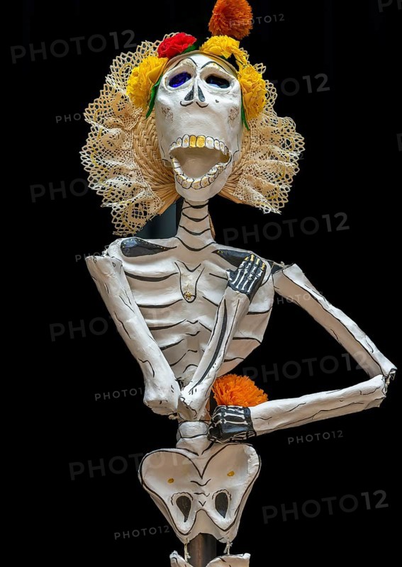 March of the Skeletons
