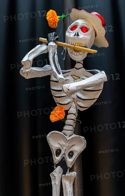 March of the Skeletons