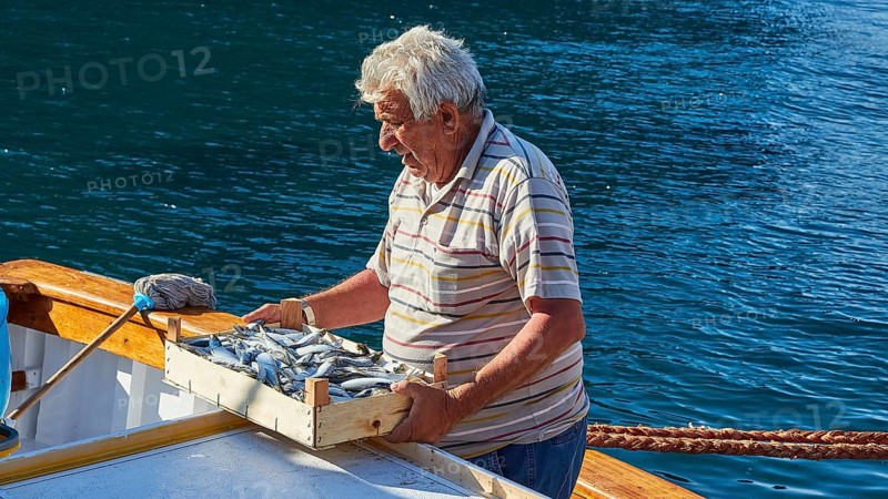 Fisherman