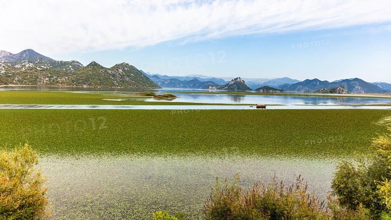Natural paradise and national park Lake Scutari