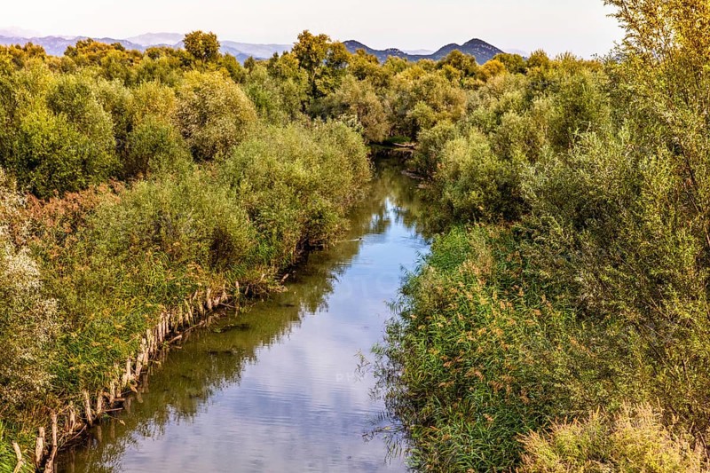 Natural paradise and national park Lake Scutari