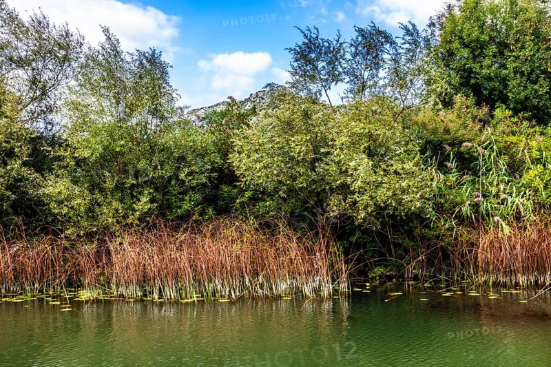 Natural paradise and national park Lake Scutari