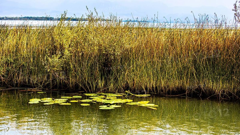 Natural paradise and national park Lake Scutari