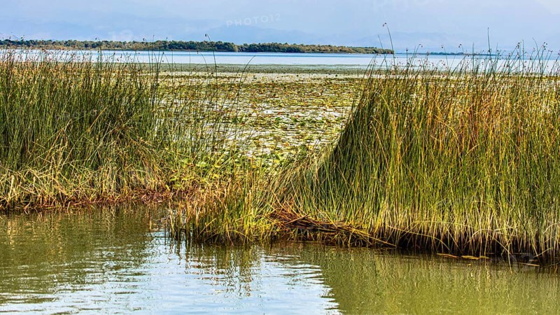 Natural paradise and national park Lake Scutari