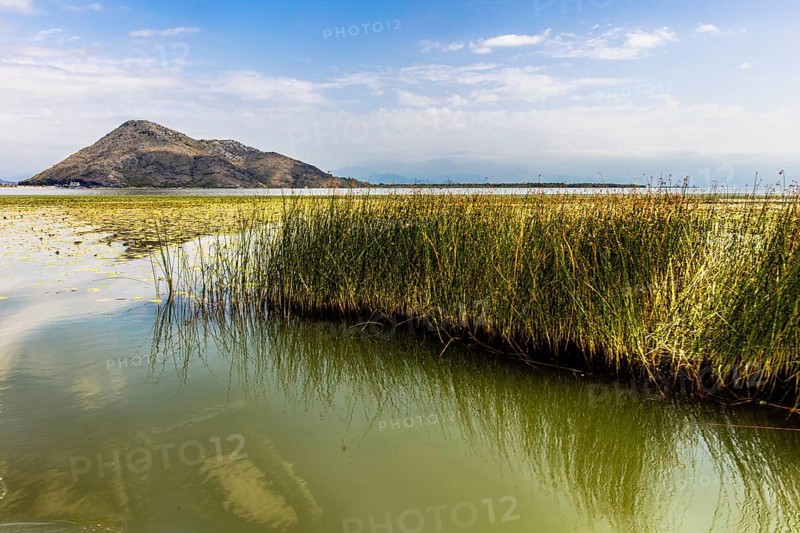 Natural paradise and national park Lake Scutari