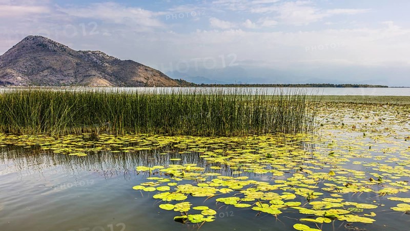 Natural paradise and national park Lake Scutari