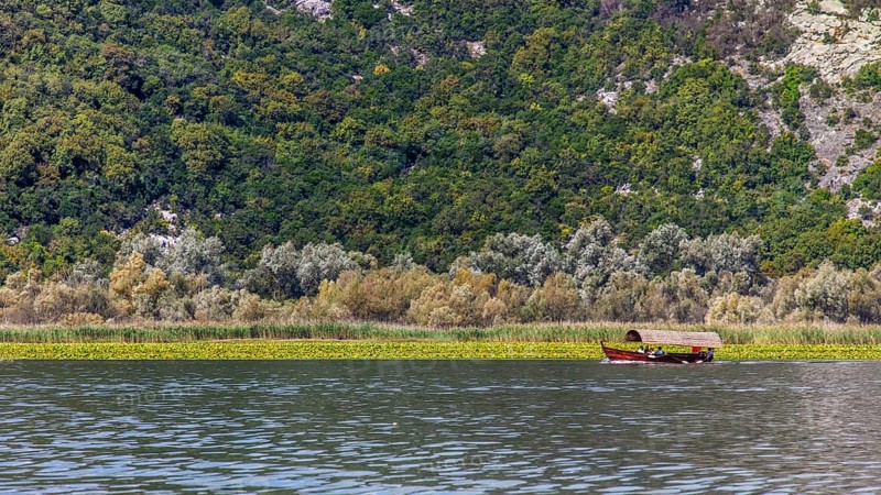 Natural paradise and national park Lake Scutari