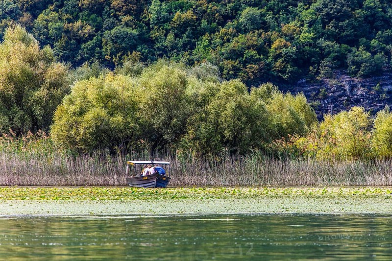 Natural paradise and national park Lake Scutari