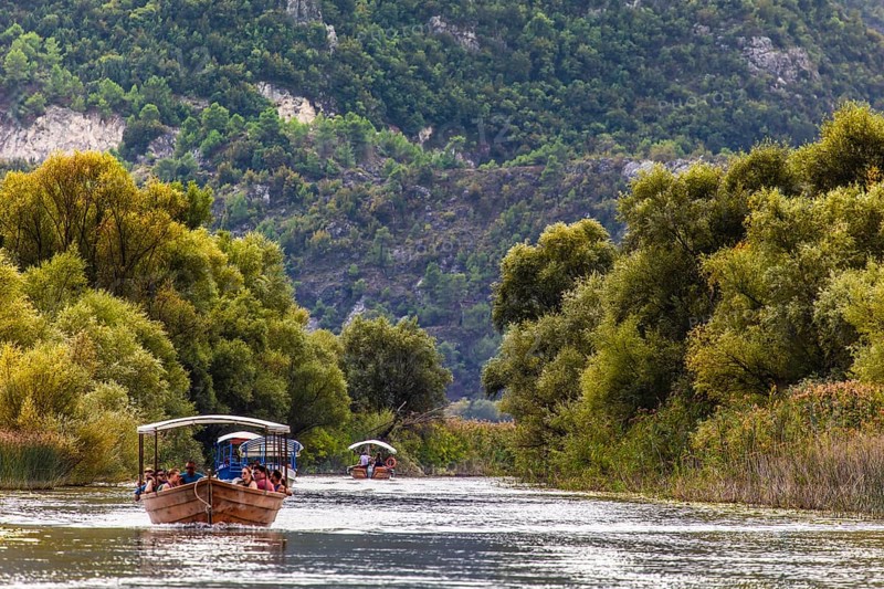Natural paradise and national park Lake Scutari