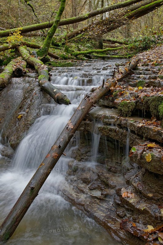 Cascades in the ravine forest