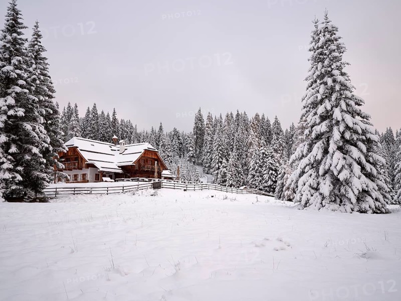 Winter pasture