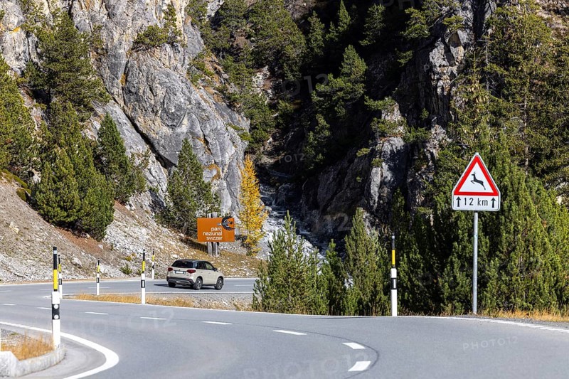 Access road to the Swiss National Park