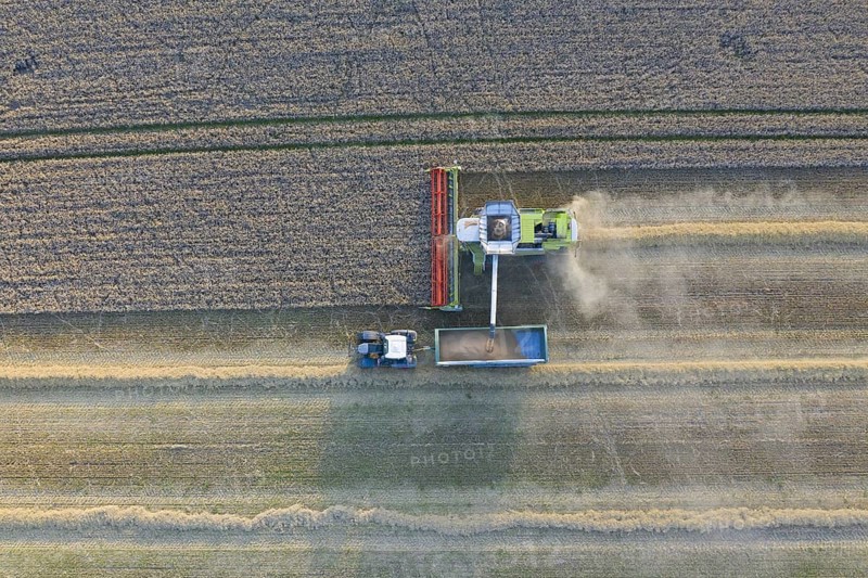 Aerial view over combine harvester and tractor with trailer harvesting oilseed rape