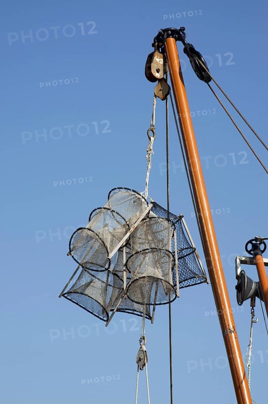 Lobster traps