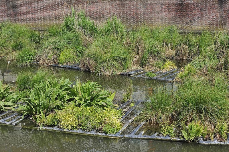 Artificial island in canal for fish to spawn and breeding place for waterfowl