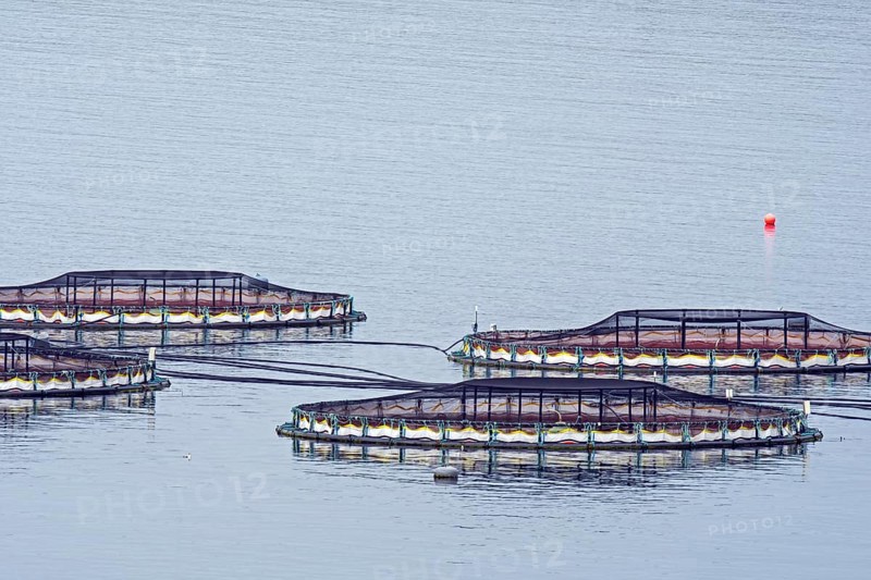 Aquaculture installation
