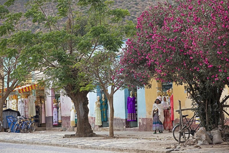 Local black women in shopping street with colourful clothes shops and blooming trees in the town Axum