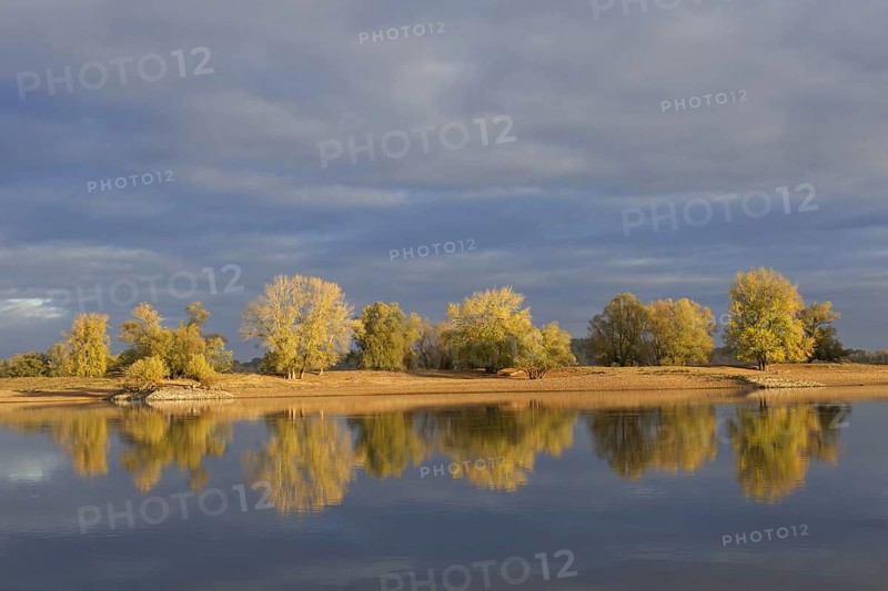 Trees in autumn colours along the river Elbe