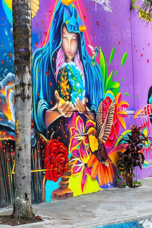Graffiti on the walls of a house