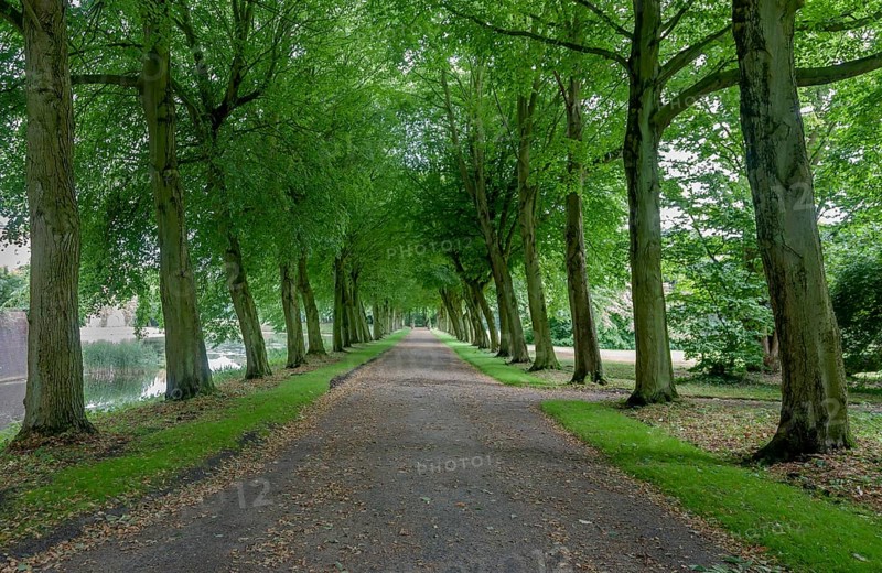 Avenue of trees at Luetetsburg Castle