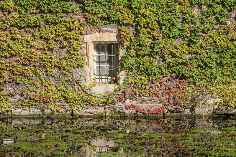 Barred window in brick wall