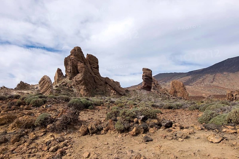 Roque Chinchado rock needle