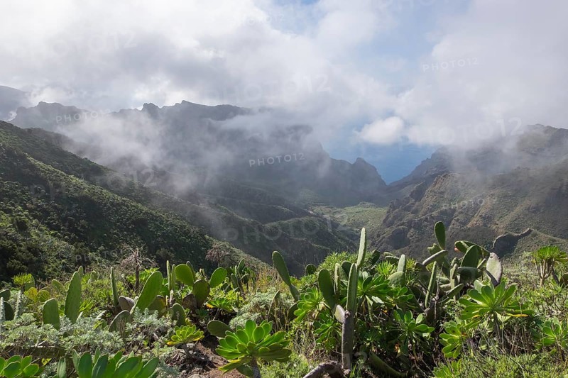 Low clouds in the Teno Mountains near the village of Masca