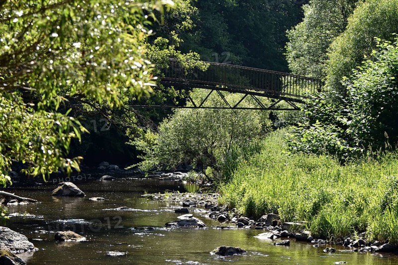 Bridge for hikers along the Nohener-Nahe-Schleife hiking trail in Naheland