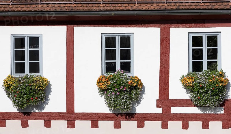 Detail of the half-timbered house with floral decoration under three windows