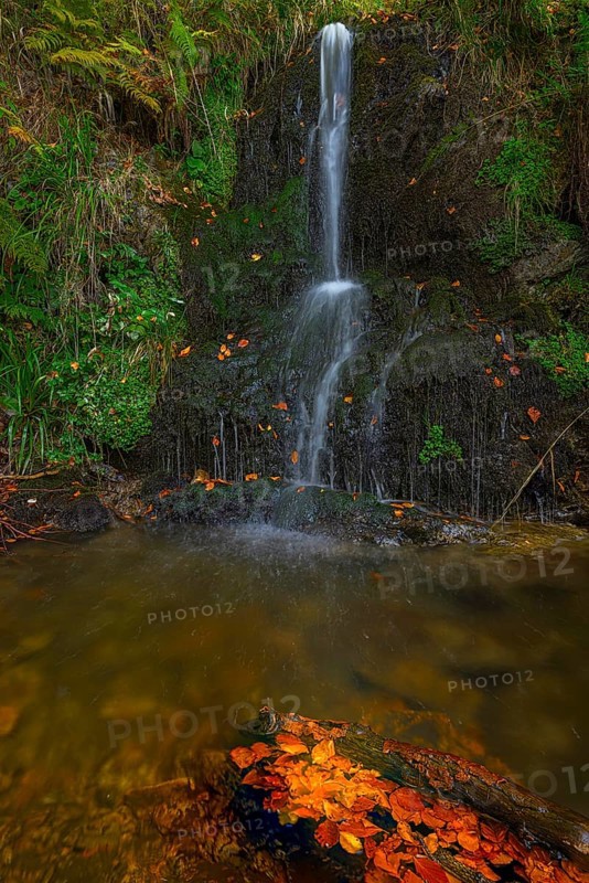 Mountain stream and waterfall in the autumn forest