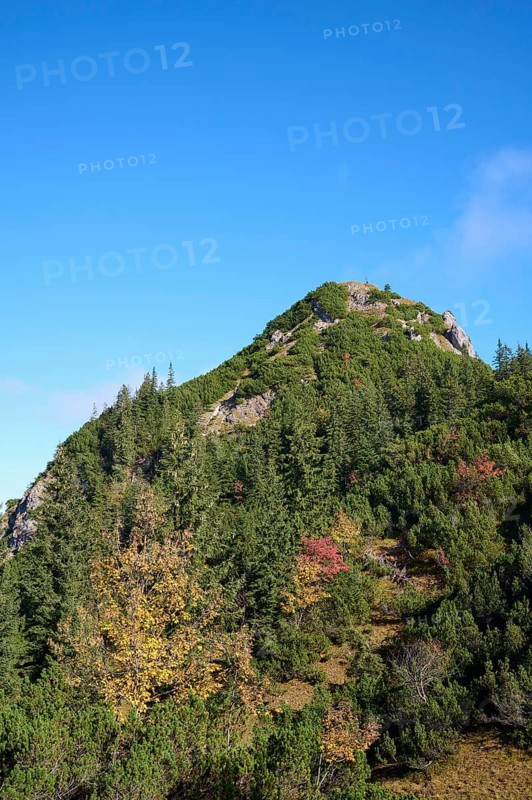 Schildenstein