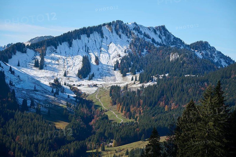 Bodenschneid