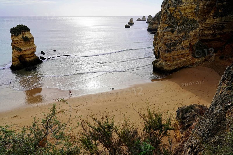 Rocky coast