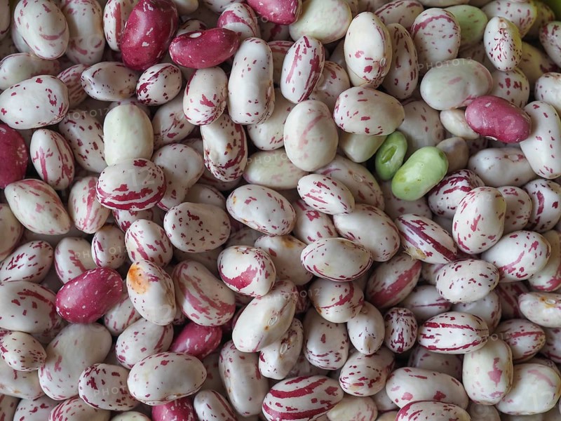 Crimson beans legumes vegetables