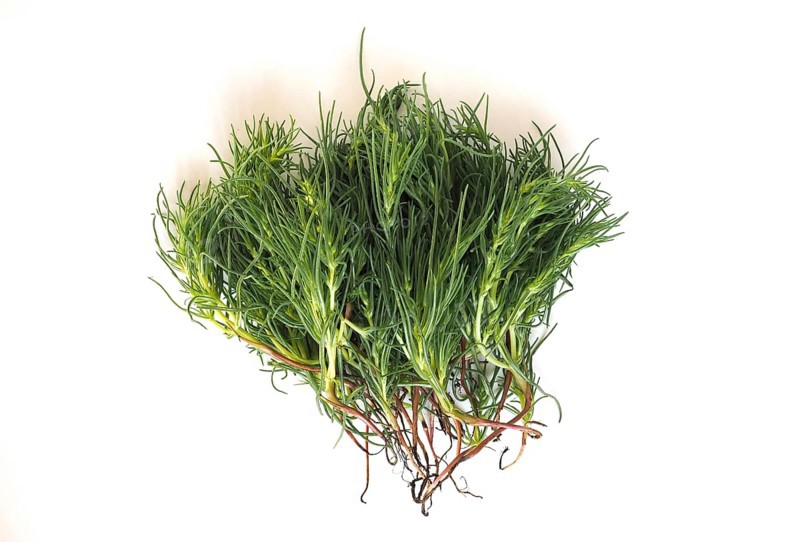 Agretti