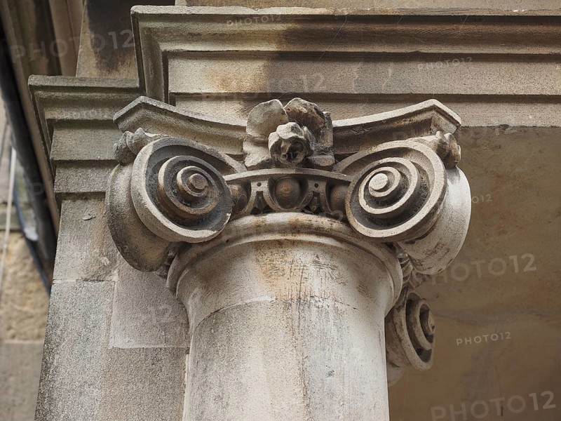 Ionic capital detail